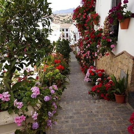 Casa de las Flores - a picture perfect location! El Gastor Exterior foto