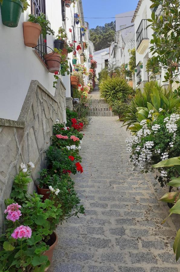 Casa de las Flores - a picture perfect location! El Gastor Exterior foto