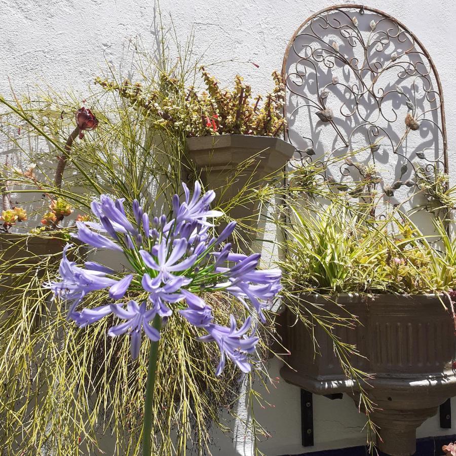 Casa de las Flores - a picture perfect location! El Gastor Exterior foto