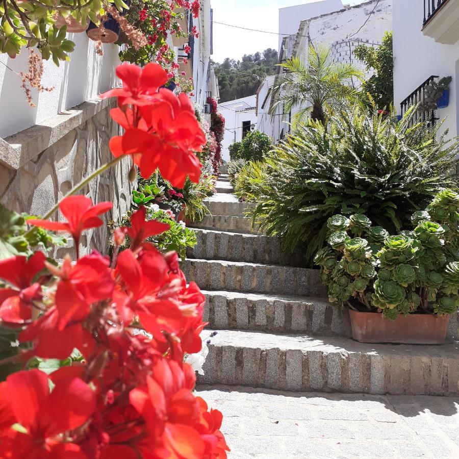 Casa de las Flores - a picture perfect location! El Gastor Exterior foto